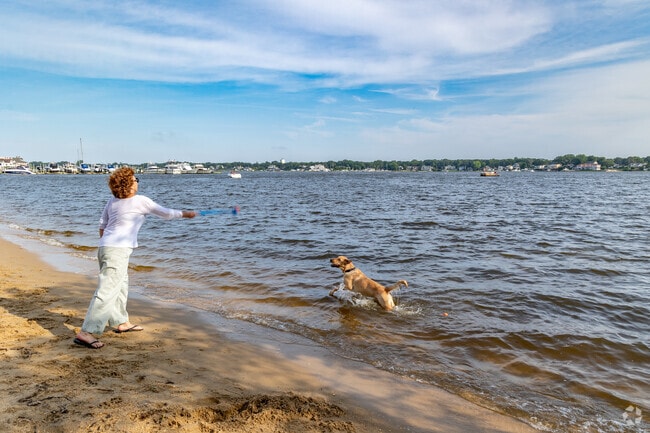 Windward Beach Park is a favored spot for locals to stroll with their furry companions.