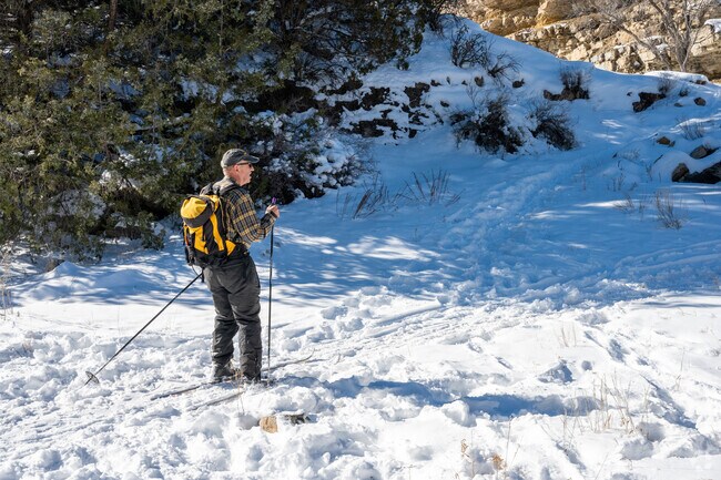 A cross country skiers enjoys a sunny day in the Manzano Mountains.