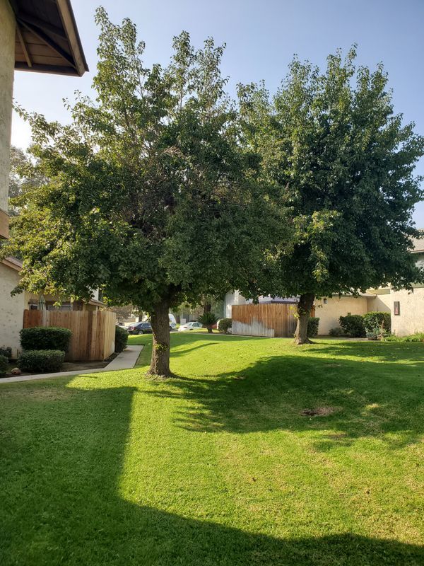 128 Wiseman Way, Upland, CA 91786