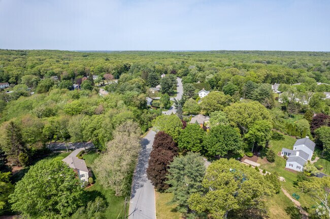 The aerial view of Nichols Corner reveals a dense tree canopy shading the streets and houses.