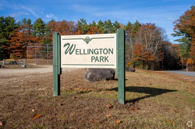 Wellington Park, a peaceful community recreation area featuring open fields and a baseball diamond for local gatherings and outdoor fun.