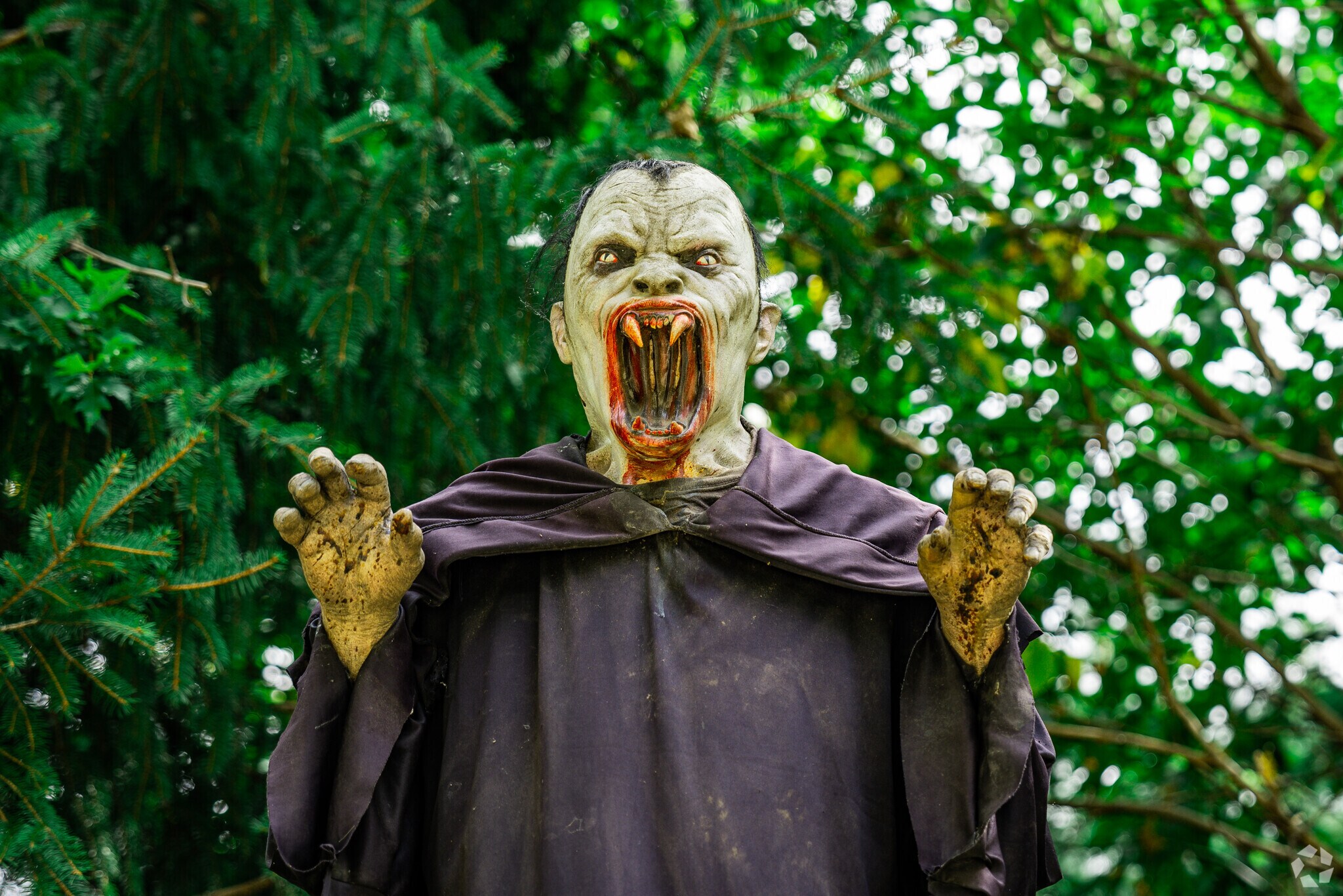 Donerville is home to the Field of Screams, a highly rated Halloween attraction.