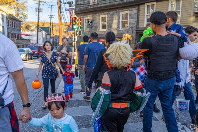 Trick or Treat on Main St is an annual halloween event that takes place in Old Ellicott City.