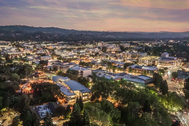 At night, Downtown Walnut Creek shines with charm and lively ambiance.