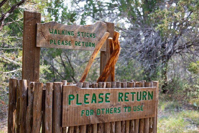 Gorgeous hiking trails at Hamilton Pool Preserve.