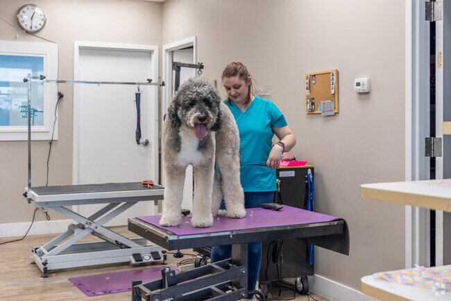 Tyrone Township dogs love getting groomed at The Barkery in nearby Sparta.