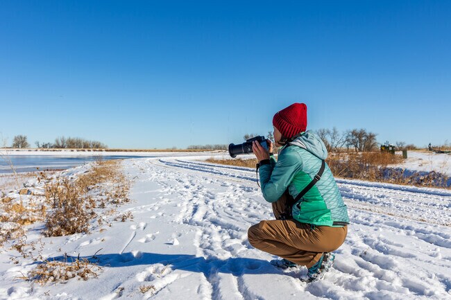 Barr Lake State Park is a photographers paradise, with it's abundance of wildlife.