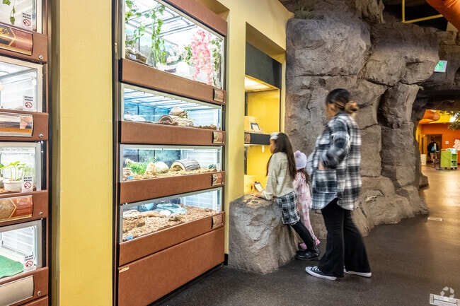 Your kids will have a fantastic time at the Environmental Learning Center in Highland Library in Cypress.