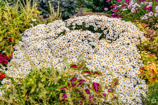 Beautiful flowers of all kinds can be found at Western Kentucky Botanical Gardens.
