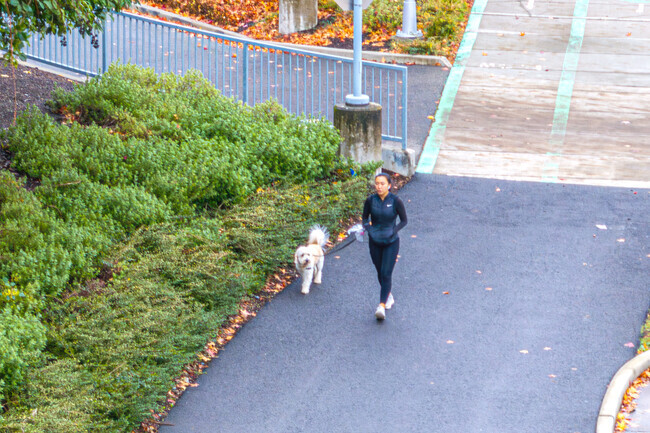 You will find Groveland is a very pet friendly neighborhood.