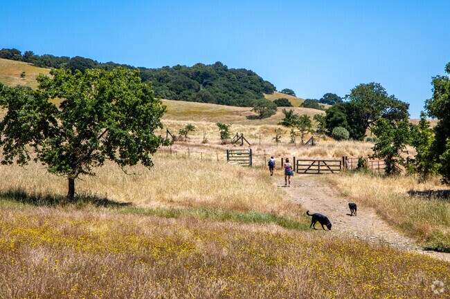 Mount Burdell Preserve is the county’s largest open space preserve near Novato.