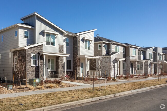 Townhome communities are popular within the Tollgate Overlook neighborhood.