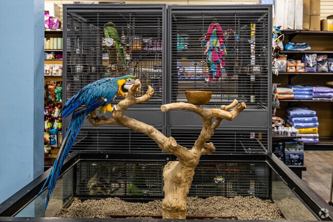 If you're looking for a winged friend, Pets R Us is the spot in Prairie Village.