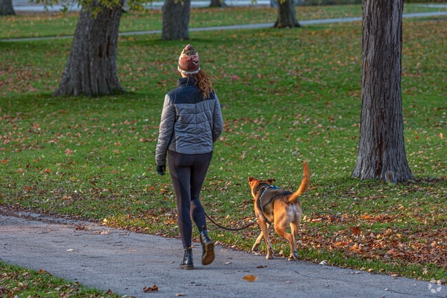 Take your best friend on a walk through Clark Park in Springwells Dearborn.