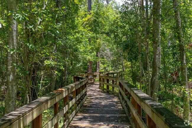 Highland Hammock State Park has miles of trails through the forest and natural hammock.