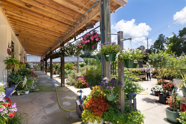 The local garden center bursts with blossoms in Azalea near Semmes, AL.
