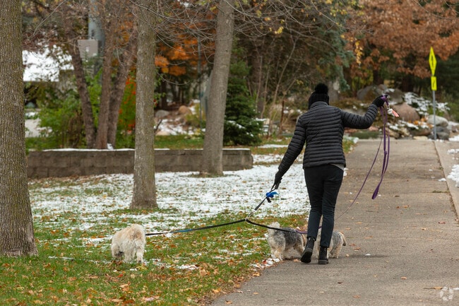 Fox Meadow Park is where locals go to stretch their legs and play.