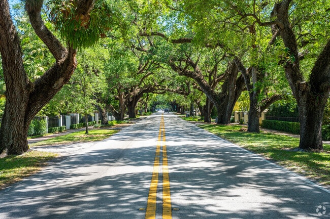 Tree-lined streets provide shade in the Coral Gables Section neighborhood.