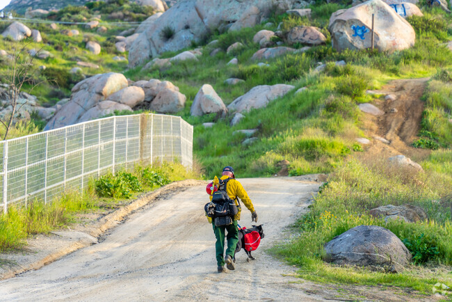 Discover the beauty of nature while hiking with your dog in Homeland.