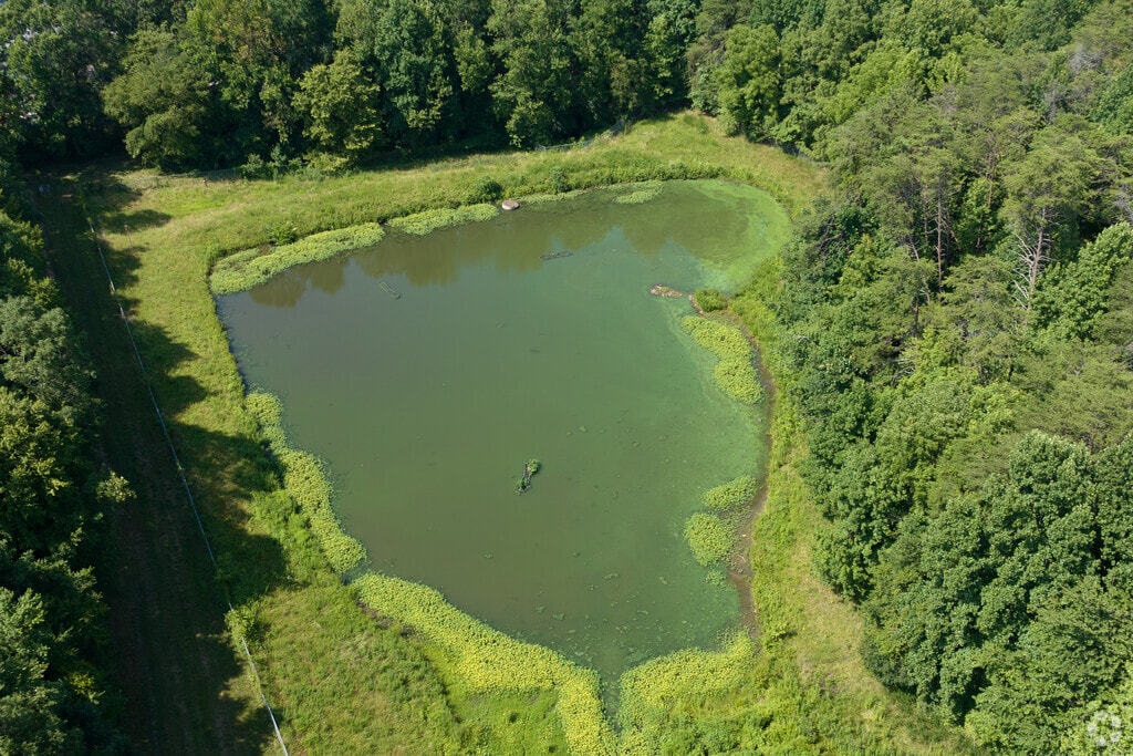 Southwest Guilford Middle School even has a lake on its campus.