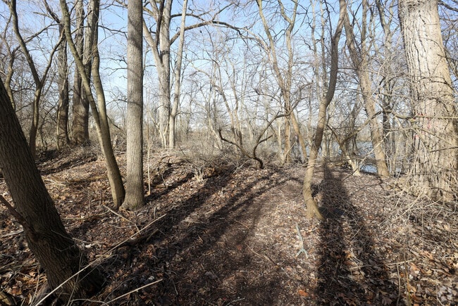 Explore the abundance of woods and trails in the Broad Ripple neighborhood.