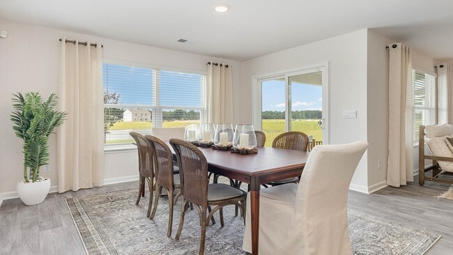 564 Strawberry Field Way, Galivants Ferry, SC 29544 - photo 6