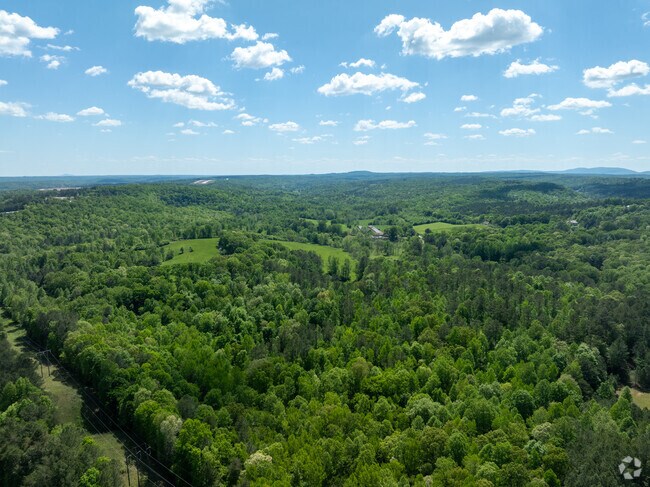Ball Ground is a green tree paradise.