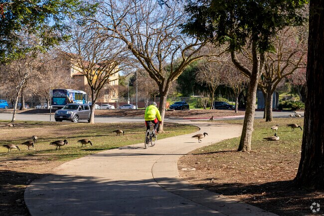 Almaden Lake Park offers a peaceful oasis with scenic trails and open spaces to explore in Almaden Hills Estates.