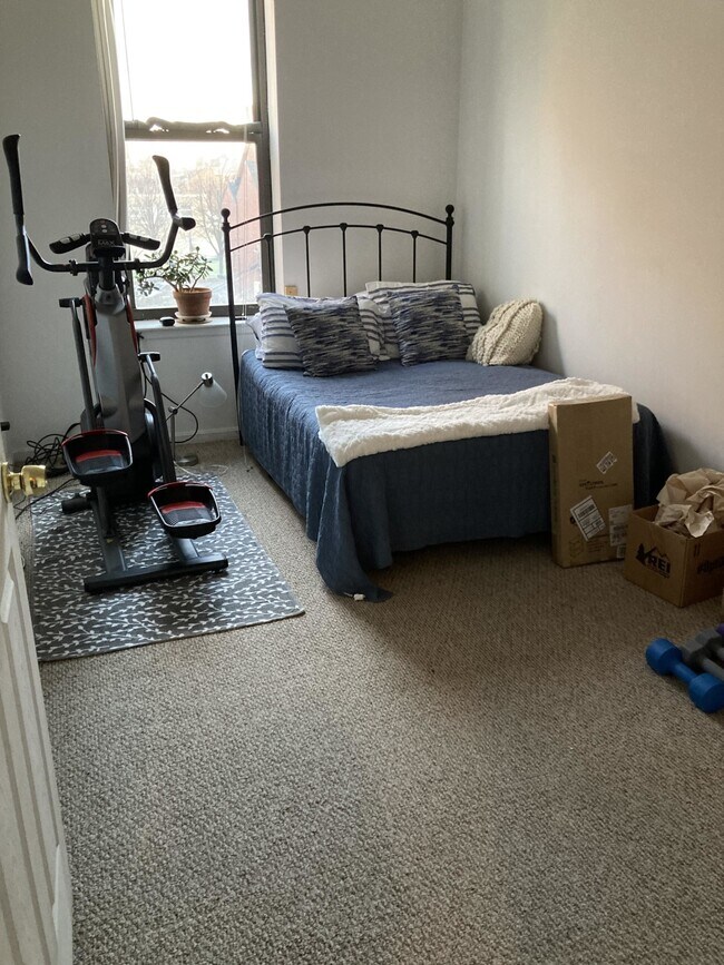 752 Tremont St unit 2, Boston, MA 02118 - photo 4