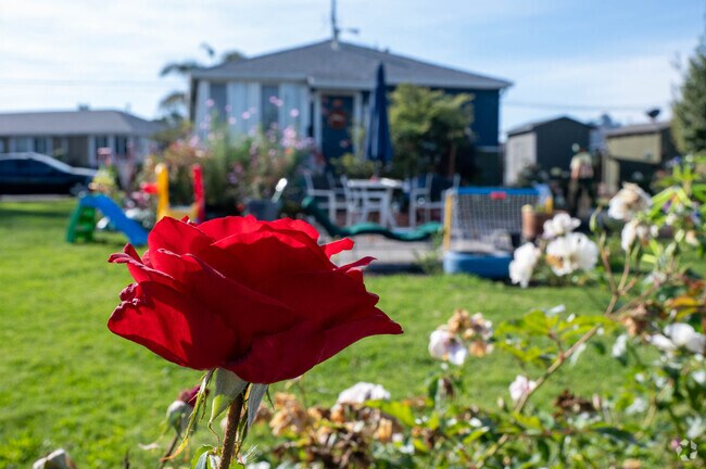 Gardens surround most of the Santa Fe neighborhood in Richmond.