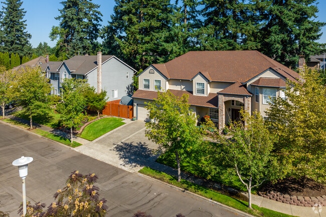 Millennial mansions are nestled among the trees in the Village at Fisher's Landing.