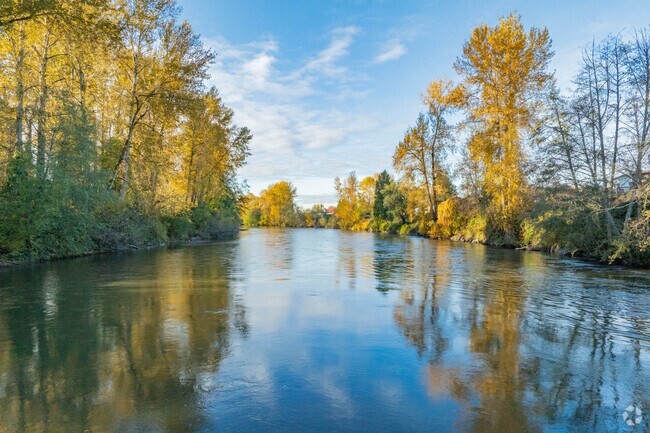 Watch the colors change for fall at Veterans Park.