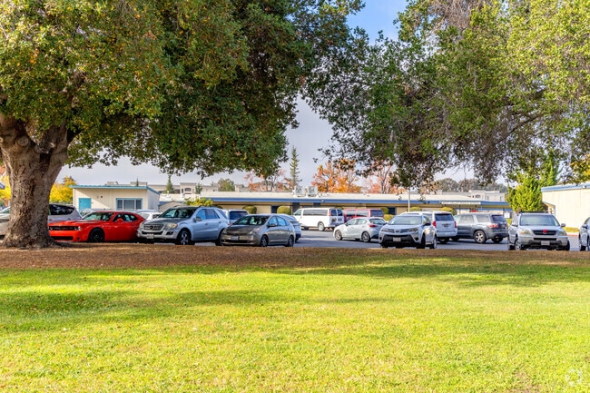 Your kids will enjoy learning in the inspiring atmosphere of As-Safa Institute/As-Safa Academy.