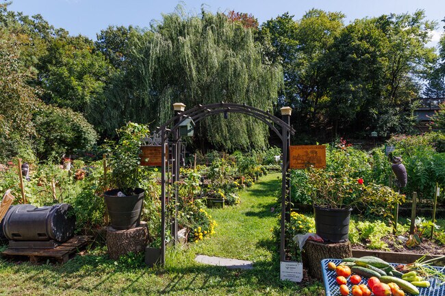 The Giving Garden is a lot nearby Floral Park where volunteers grow food for the poor