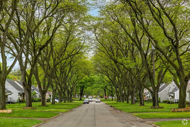 Towering oak trees line the back streets and shade front lawns throughout Merill.