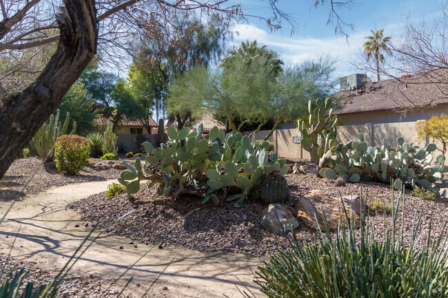 Dobson Pines Cacti Park is a neighborhood park that showcases different cactus plants.