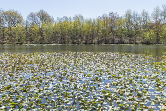 Concord residents like to work up a sweat playing basketball at Lopez Playground.