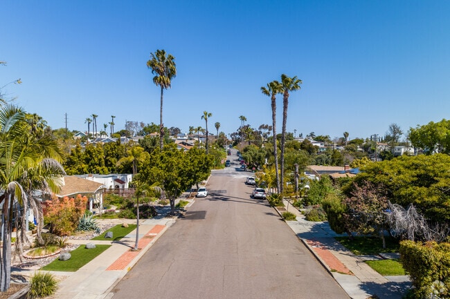 Palm Lined Residential Street in South Park.
