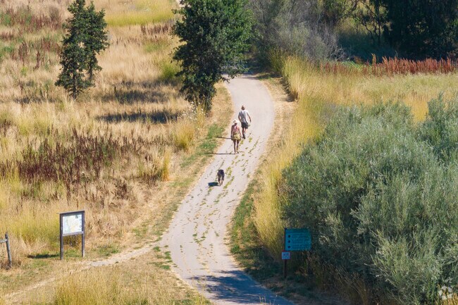 Laguna De Santa Rosa in Sebastopol, California is a wonderful place for you and your dog.