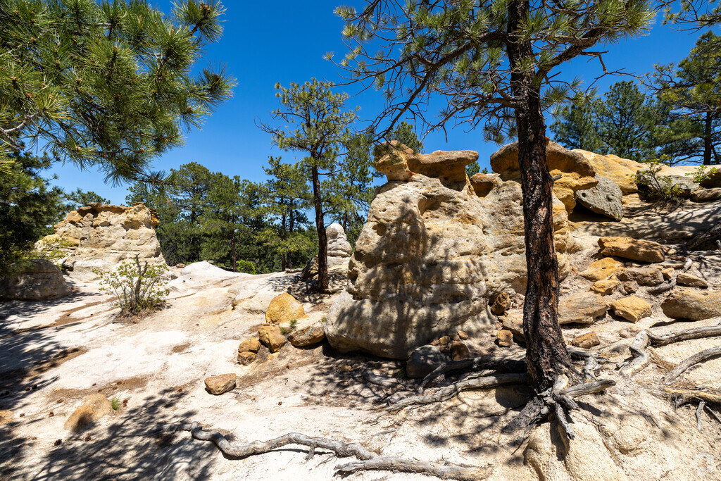 Palmer Park Colorado Springs