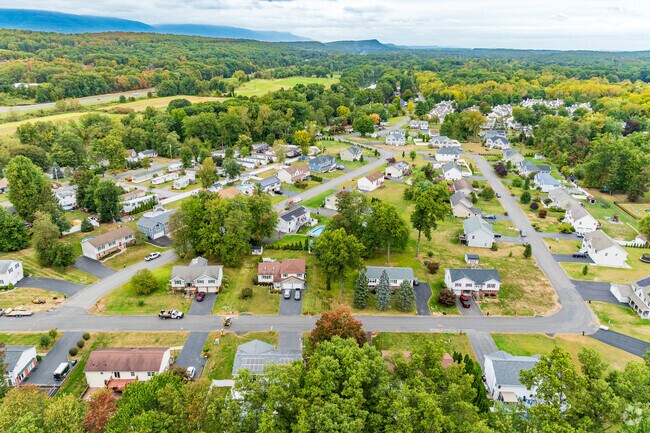 Tree-lined streets in Lake Katrine bring life to its town properties.