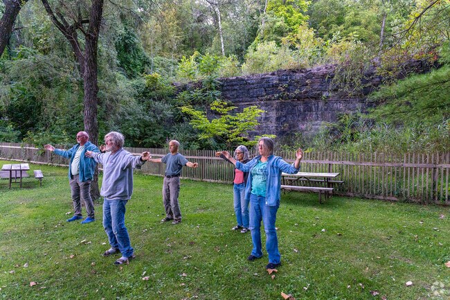 A group of locals practices tai chi at Willow Kiln Park in Rosendale.