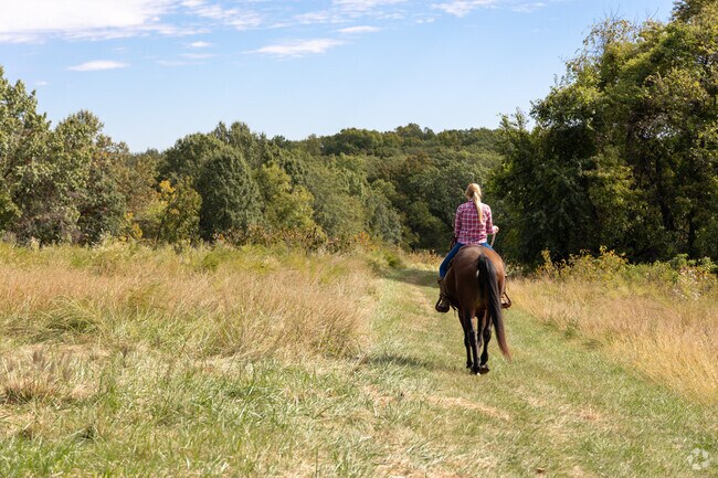 Queeny Park offers many beautiful locations for a wedding