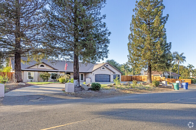 Tall trees line the street of a quiet area in McSwain.