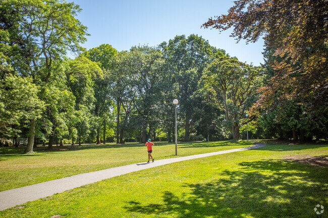 A jogger in Volunteer Park in Capitol Hill neighborhood in Seattle.