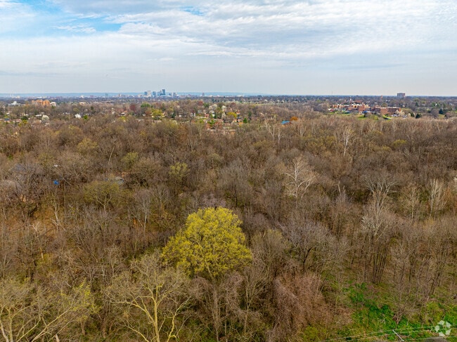 The Beargrass Creek Nature Preserve is a woodland environment within Poplar Level.