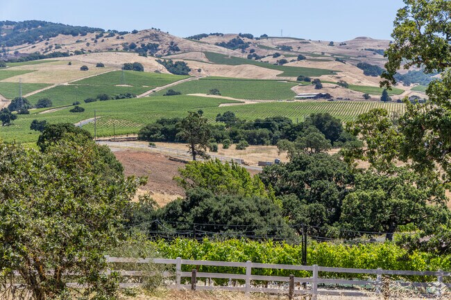 Napa's Scenic Overlook in Soscol Gateway South looks out onto rolling hills full of vineyards.