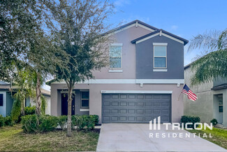 10015 Rosemary Leaf Ln, Riverview, FL 33578