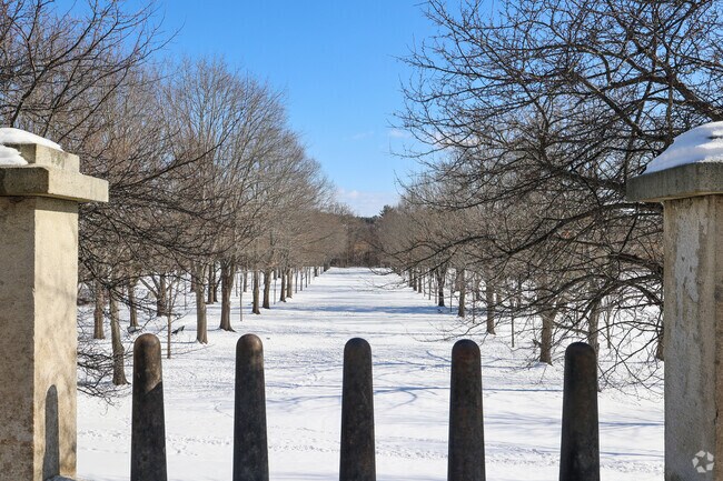 The rows of trees that comprise Capitol Park lead up to the steps of the capitol in Augusta.