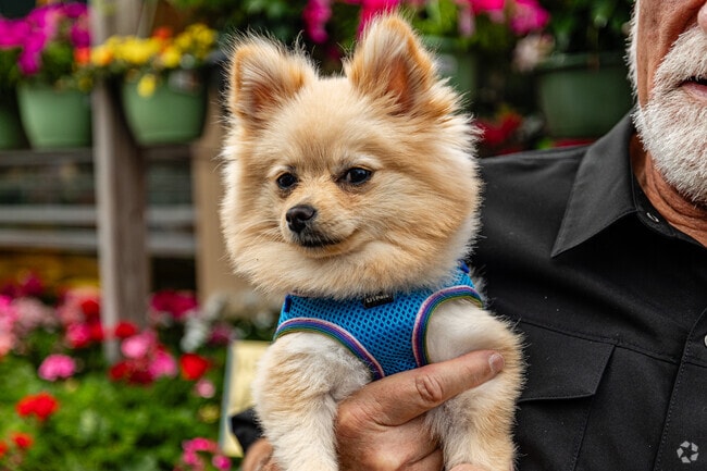 Your furry best friend will enjoy spending time in the natural areas surrounding Fleming Island.